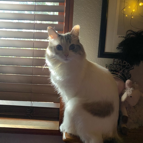 Meet your Posher, Michelle - Picture 14 of 17